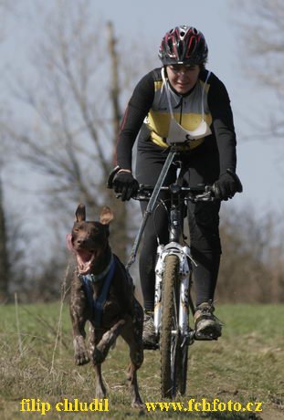 Hustopece 08 - 018.JPG